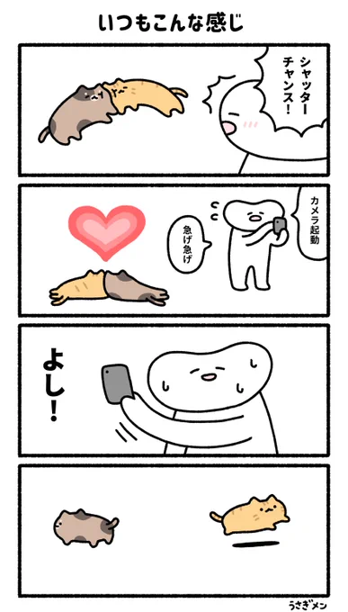 いつもこんな感じ 