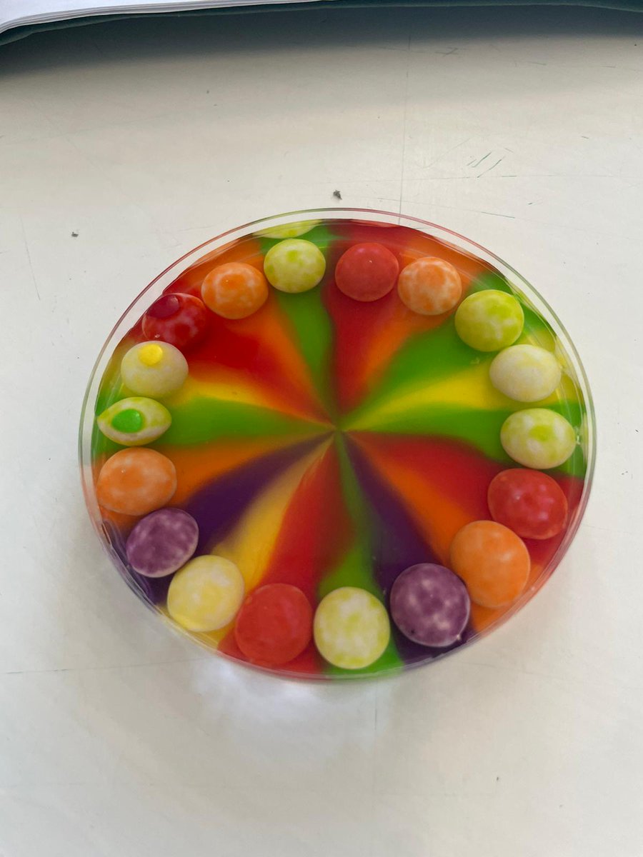 OLHSMotherwellScientists tweet media