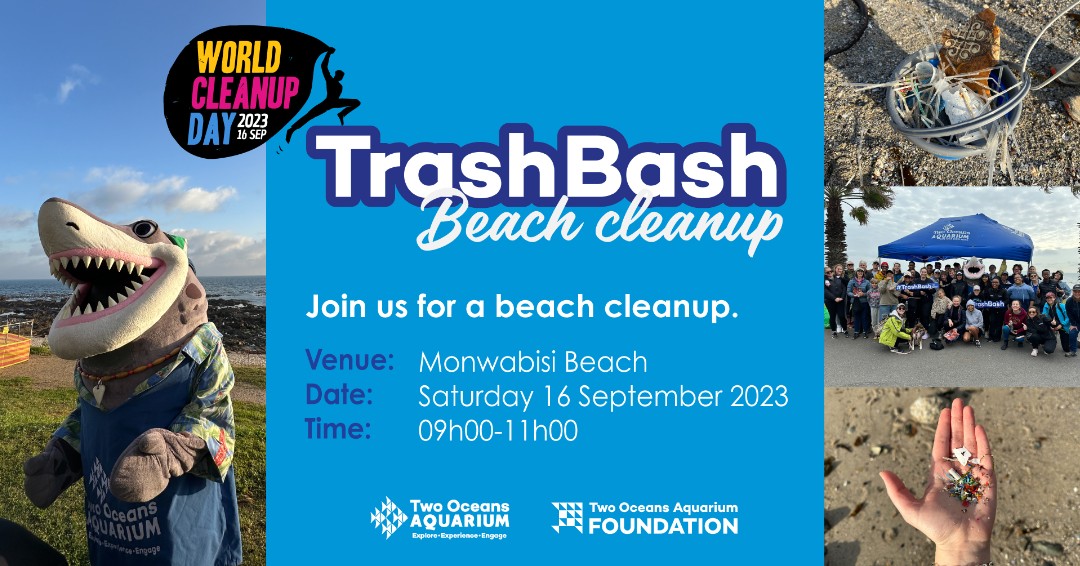 2OceansAquarium's tweet photo. Ready for a #TrashBash like no other?!🩵♻️🌊This #weekend, we're cleaning up Monwabisi Beach! #CaptainFanplastic and the #OceansinMotion mobile classroom will join us for children's activities!💙🦀 See you on 16 September for International Coastal #Cleanup Day! #twooceansaquarium https://t.co/Y4rHllzdtF