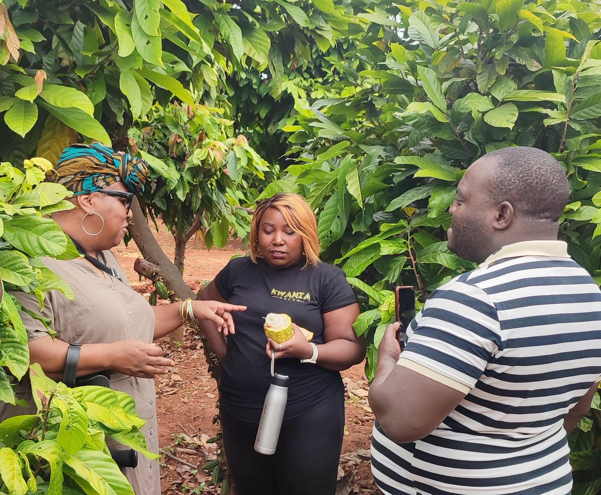 misswezwez's tweet image. A cocoa pod a day keeps the Dr away. 💯🇲🇼🌳🍫

#cocoa #cocoafarmer #chocolatemaker #chocolatier #malawi