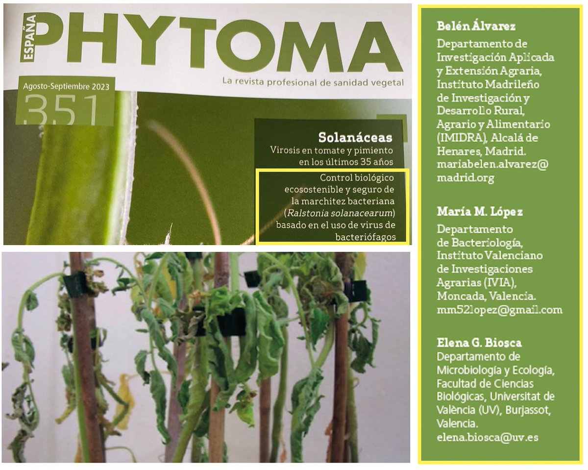 Elena G. Biosca tweet media