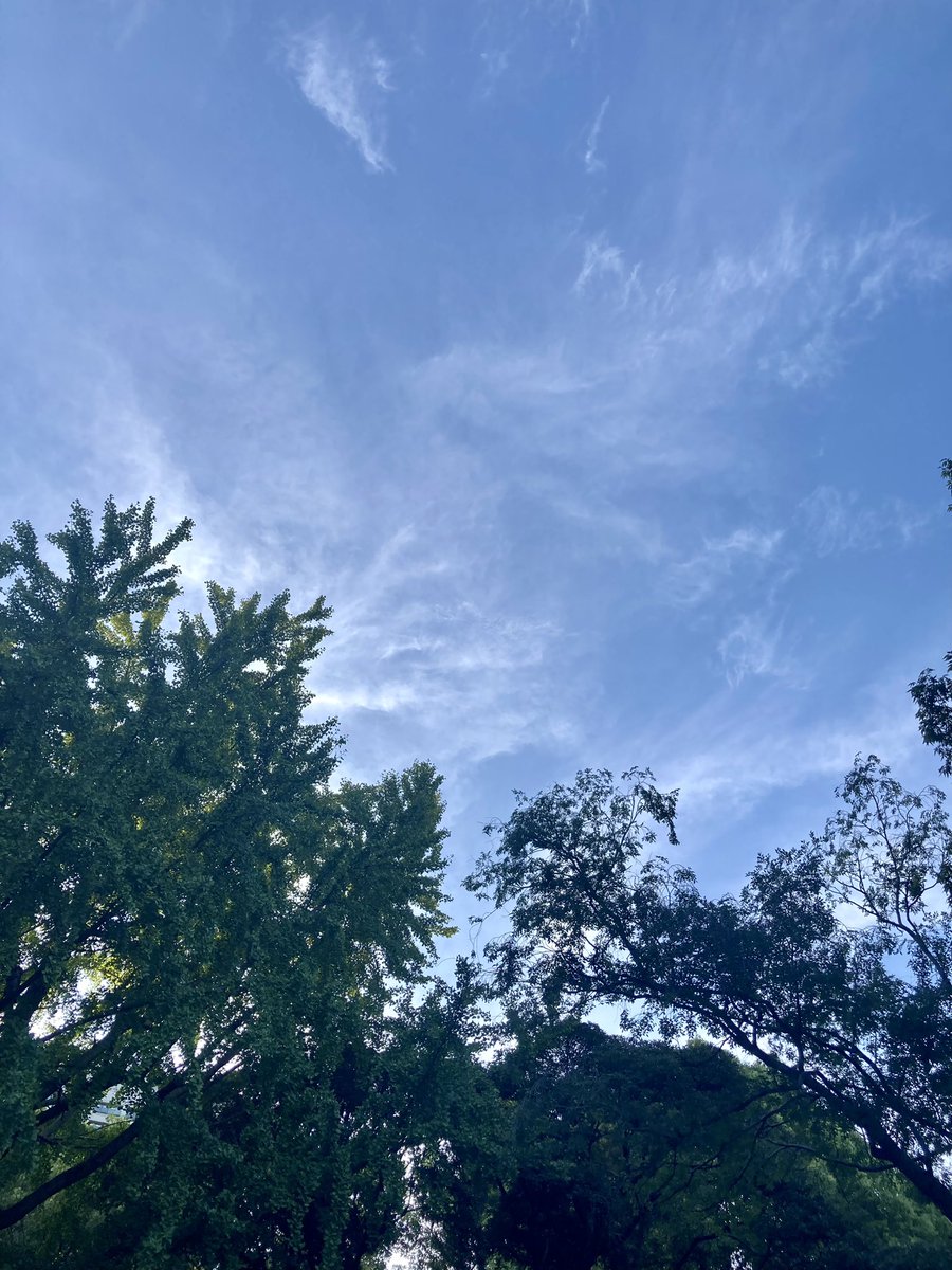 baila_candy's tweet photo. 今回のツボ開けセッションも無事終わりました🥰
勤務後、いつも昼トレする公園で感謝のゴミ拾い✨(吸殻多いなぁ🚬)
そしたらまたすぐ嬉しいことが起きた☺️
見返りを求めて拾うわけじゃないのに、すぐにご褒美をくれる守護霊様🌟指導霊様🌟ありがとうございます🙇‍♀️
#波動の高い場所作り https://t.co/4Wy0hLOpsM