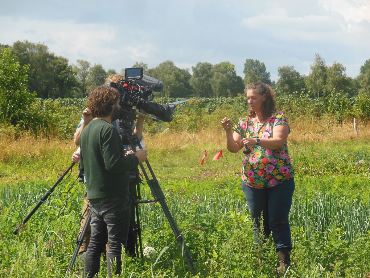 Morgenavond (dinsdagavond) 3 oktober is Herenboeren Wenumsveld (Apeldoorn-Noord) te zien bij BinnensteBuiten, NPO2 vanaf 19.10 📹🐖🌾🌱🚜
De uitzending volgt mede-eigenaren Marco en Elvira en hun twee zoons een dag op de boerderij. Kijken dus!
