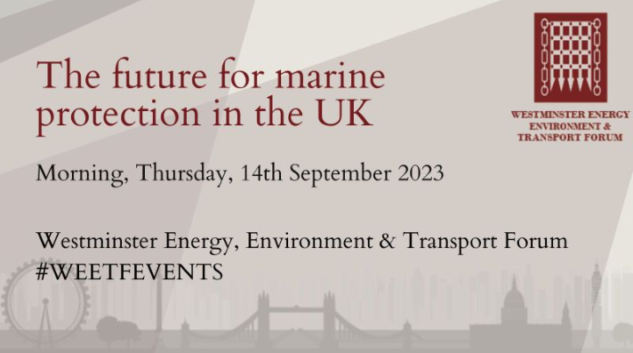 MarineSpace, an ERM group Company tweet media