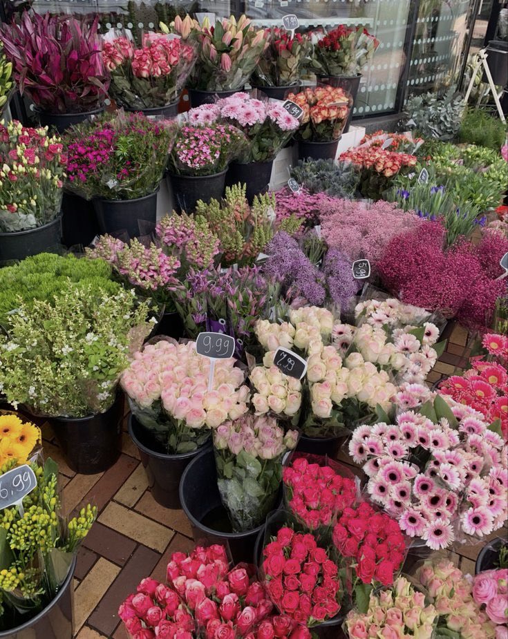 pradavante's tweet photo. “i can buy myself flowers” 💐 https://t.co/Nst5YqDfIV