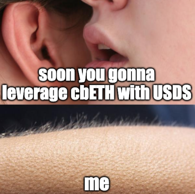 Sable Finance 🐱 tweet media