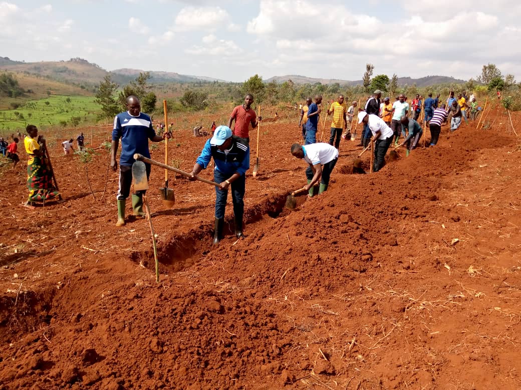Gitega's tweet photo. Umushikiranganji wa @BMineagrie Sanctus NIRAGIRA arikumwe n'umuhanuzi wa buramatari wa @Gitega ajejwe amategeko n’abandi bubahwa yifadikanije n’abeneghugu bo muri komine #Itaba kuri uyu wa 14/09/2023 mu bikorwa vyo guca imikobeko ku mutumba wa #Gihamagara agacimbiri #Kabanga https://t.co/sUFxCfgVvC