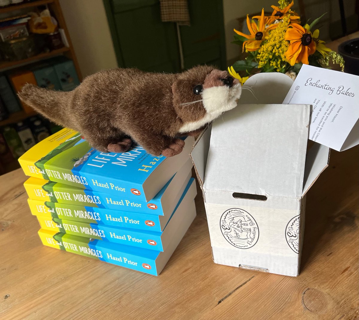 It’s publication day!
But what could be in the box?
#BookTwitter