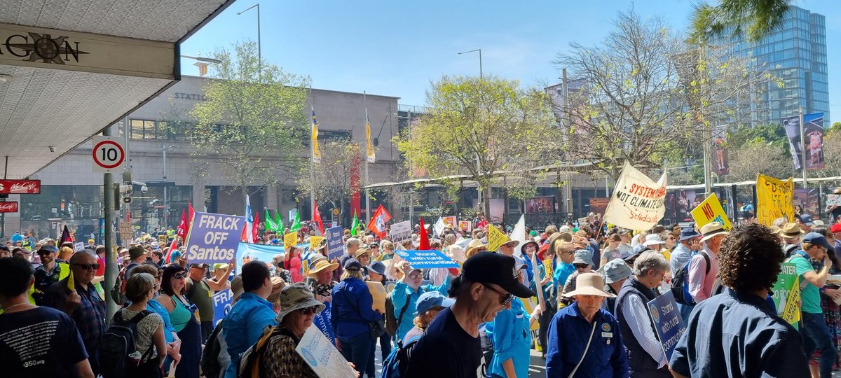 Michael Collins tweet media