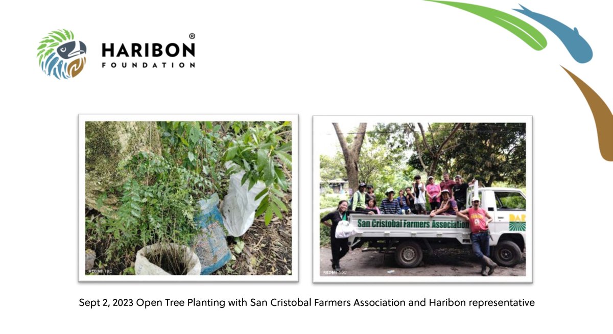 FILOMIDZY_FUNDS's tweet photo. Hello MIDZYs, it's been a while! ❤️

As of Sept 2, 2023 our adapted 25 native tree seedlings under the name of @ITZYofficial were planted in 24.65 hectares of denuded areas in Brgy. San Cristobal, San Pablo City, Laguna through @GoHaribon together with their volunteers. 🥰 https://t.co/S1ZFQ92zka