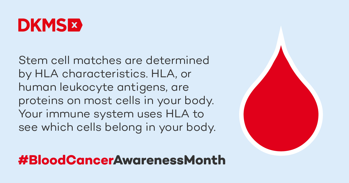 Stem cell matches are all about HLA – human leukocyte antigens. 🧩 A matching donor ideally needs to be someone whose relevant HLA characteristics are a 100 per cent match with the patient – and that donor could be you! #BloodCancerAwarenessMonth