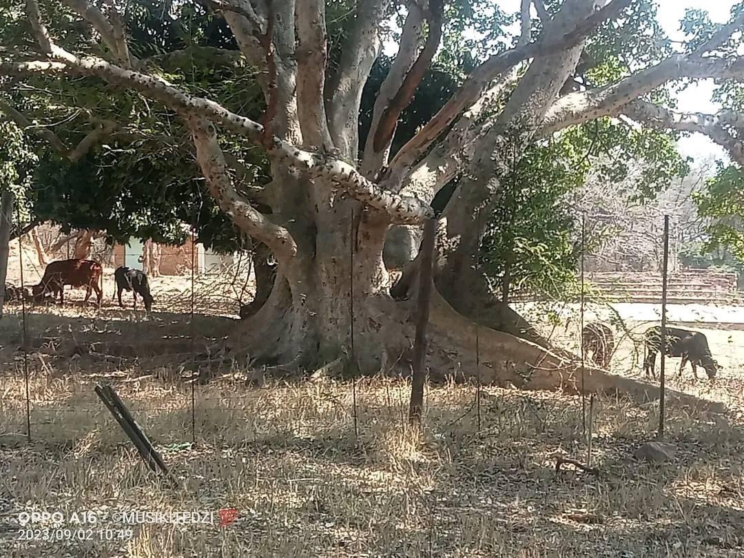 Tshisamphir's tweet photo. Mphephu resort 😳 https://t.co/GFALWZiwlq