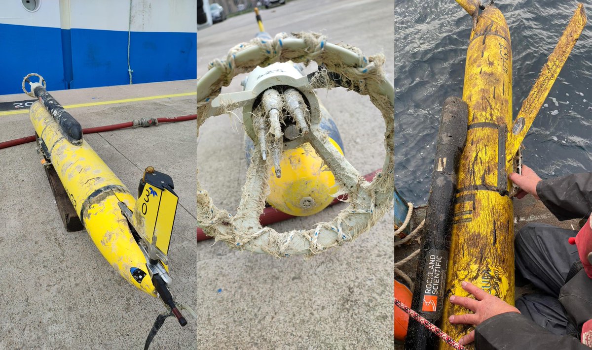 This is what happens to a glider when it's been on a 4-month deployment in the North Sea! 😱

The two gliders were collecting data around offshore wind farms to help determine their impact on the marine ecoystem.

Learn more about the project here 🌬️ brnw.ch/21wCuVV