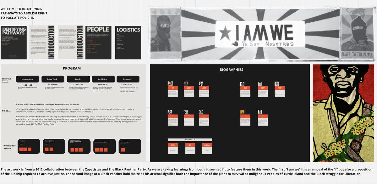 Coming up next month is 2/3 projects we are doing on air pollution policies. This Imagination Lab will be on how to abolish "Right to Pollute Policies" by moving towards "Right To Exist Policies" (thanks to <a href="/charisejeanine_/">샤리스 Johnson</a>  for the term).
