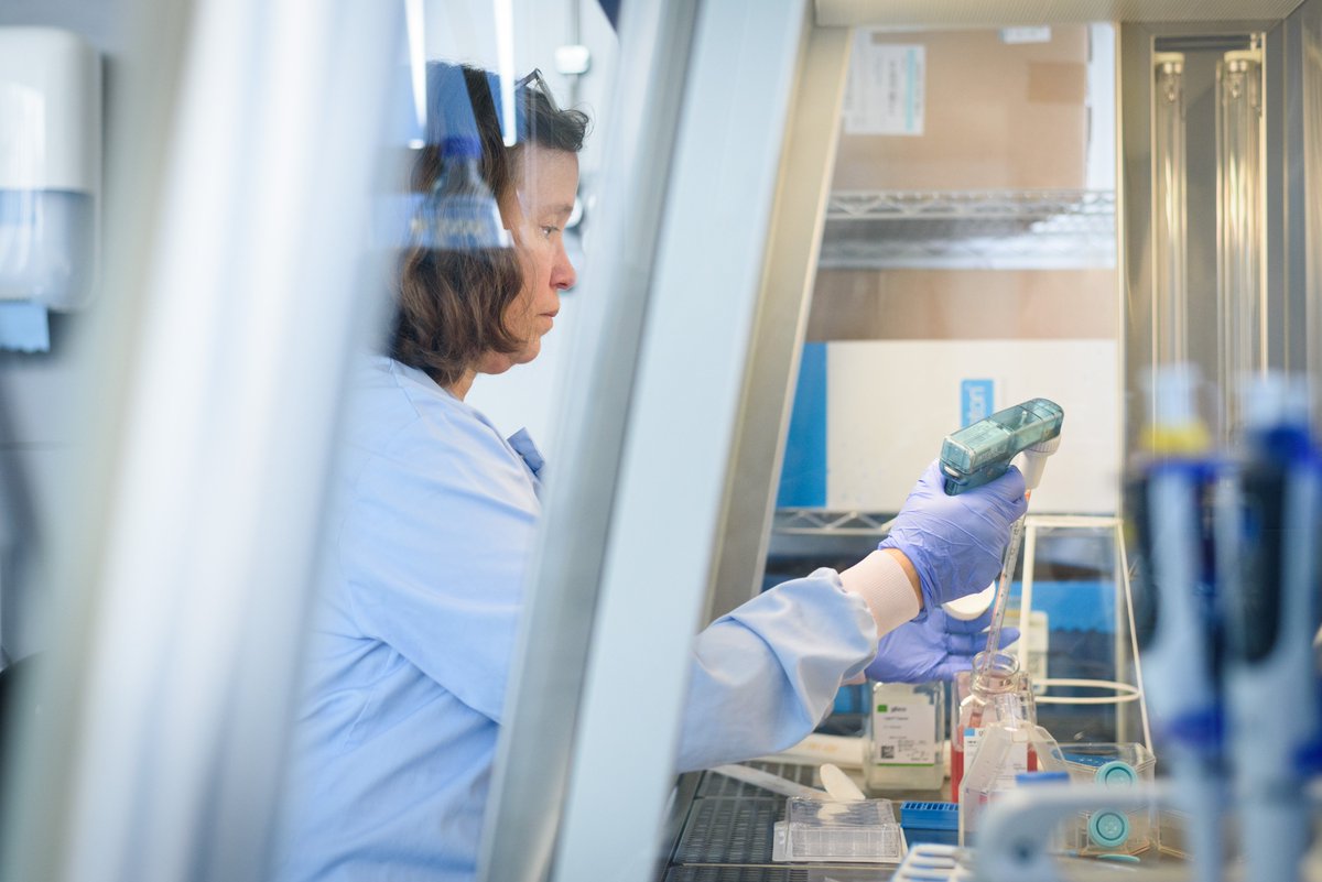 MRCcmm's tweet photo. We are proud to announce we have been awarded a @eurconfmedmycol Excellence Centre Diamond status with @StGeorgesTrust and @UKHSA_SouthWest
Mycology Reference Laboratory for excellence in laboratory and clinical mycology https://t.co/Colmaergwm

@The_MRC @UniofExeter @ExeterBRC https://t.co/F8FNc7ZA0d