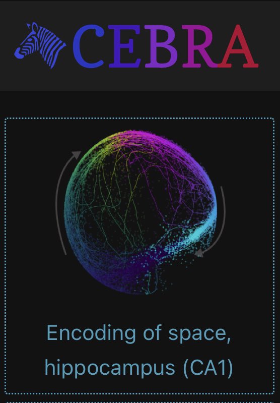 Mackenzie Weygandt Mathis, PhD tweet media