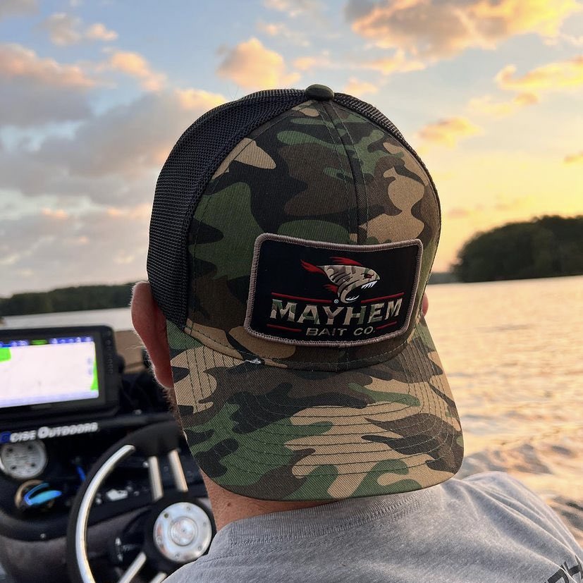 Liquid Mayhem tweet media