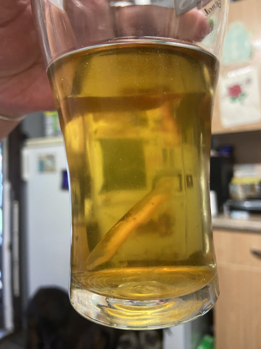 make_upbydani's tweet photo. Bought this apple juice from @AldiUK yesterday and this is what I poured out of it. Absolutely disgusting, mould around the lid also. https://t.co/GiKwncVOr3
