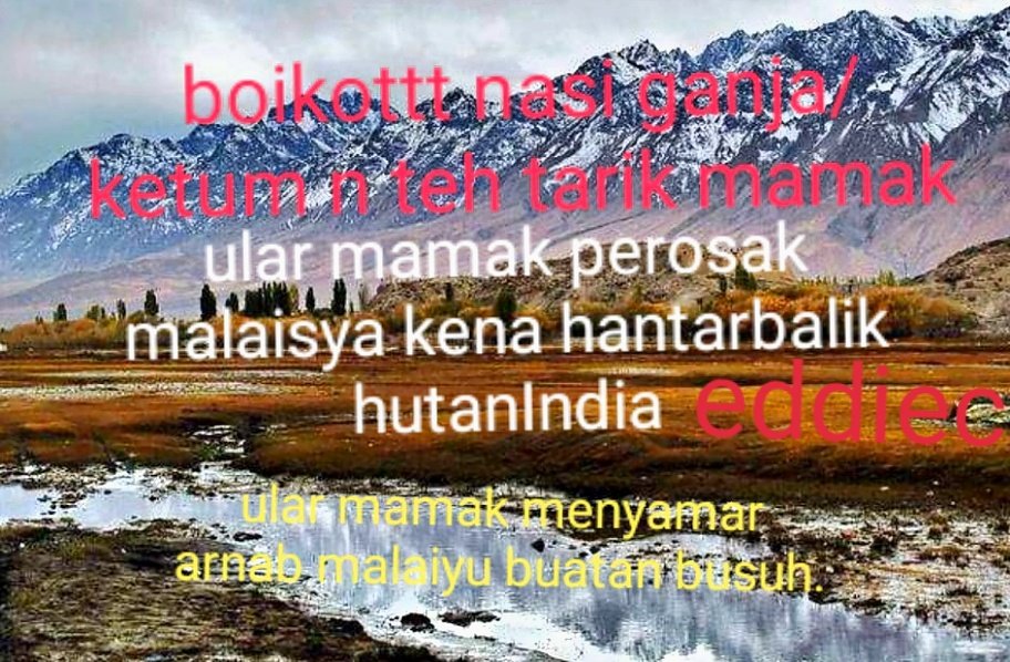 eddiechinn2's tweet photo. @MalaysiaGazette .. https://t.co/y1x6xNSZiu