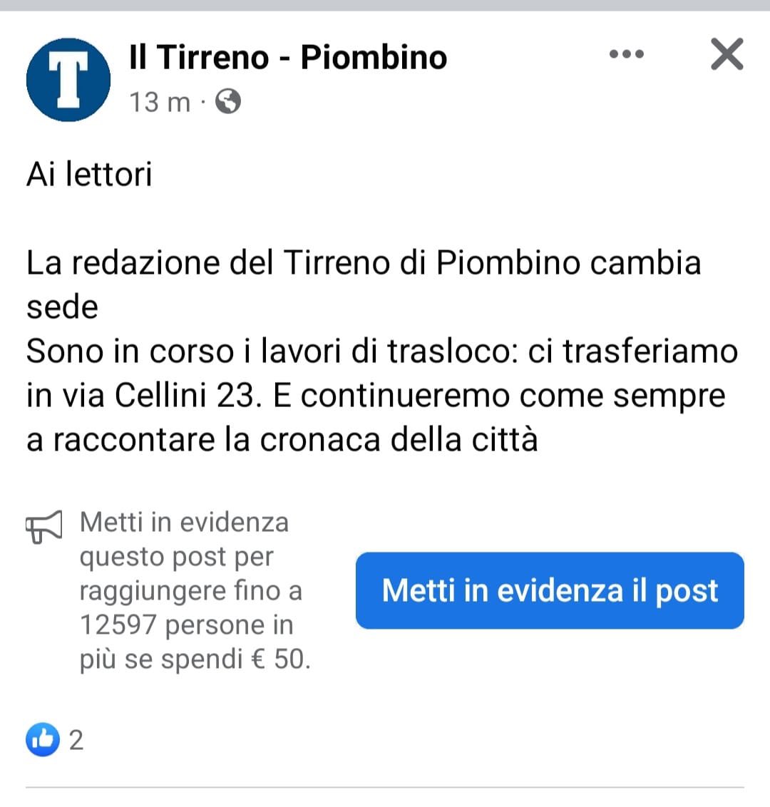 cecilia cecchi tweet media