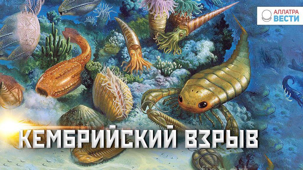 #статья   
✅ Кембрийский взрыв. Что не так с теорией Дарвина? 
 
Проблема Кембрийского взрыва непосредственно связана с дискуссией о теории эволюции Чарльза Дарвина. Это явление противоречит основным принципам его теории, и сам Дарвин...   
 
 🌍 allatravesti.com/kembrijskij-vz…
