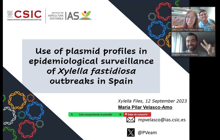 M. del Pilar Velasco Amo (@pveam) on Twitter photo After practice with <a href="/manguitamaeso/">Manuel Anguita Maeso</a> and @AriasgLuis I’m ready for my #XylellaFiles ! showing some of the results obtained in <a href="/BexylP/">Bexyl Project</a> #Xylellafastidiosa After practice with <a href="/manguitamaeso/">Manuel Anguita Maeso</a> and @AriasgLuis I’m ready for my #XylellaFiles ! showing some of the results obtained in <a href="/BexylP/">Bexyl Project</a> #Xylellafastidiosa