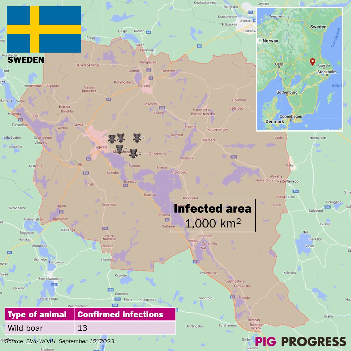 Vincent ter Beek (@vincenttb) on Twitter photo Update on the situation of African #Swine Fever in wild #boar in Sweden 🇸🇪. The authorities have found 6 more #ASF infected carcasses, bringing the total at 13. Also about 50 domestic #pigs need to be culled.
Read the update at <a href="/PigProgress/">PigProgress.net</a> ⏩ lnkd.in/ewQvVhTK Update on the situation of African #Swine Fever in wild #boar in Sweden 🇸🇪. The authorities have found 6 more #ASF infected carcasses, bringing the total at 13. Also about 50 domestic #pigs need to be culled.
Read the update at <a href="/PigProgress/">PigProgress.net</a> ⏩ lnkd.in/ewQvVhTK