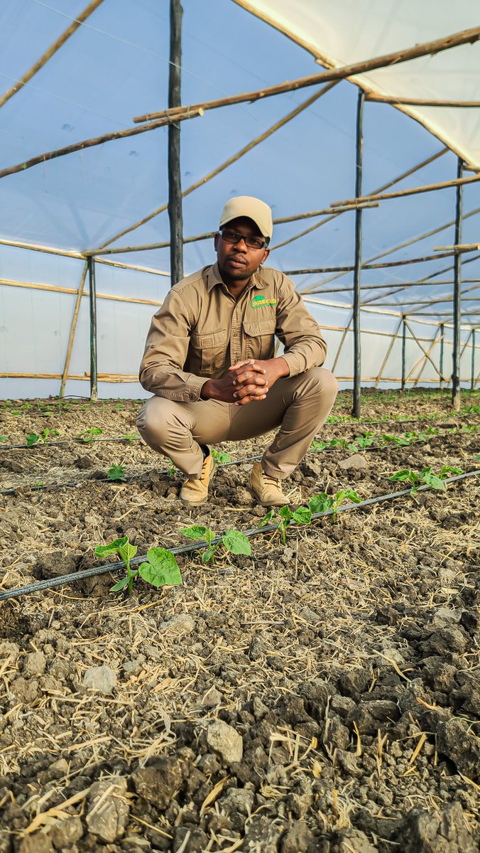 The Farmer's Engineer tweet media