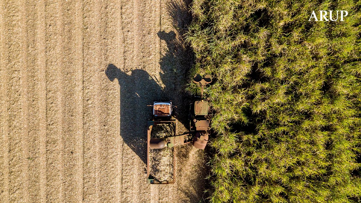 Arup's tweet image. Most things we consume today travel across borders – so, why is responsibility for cutting #emissions confined to the borders of individual nations? Discover how our #foresight team is exploring this issue: bit.ly/3Zl01SA

#NetZeroChallenge