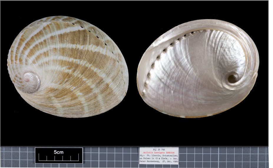 Magdalini.Christodoulou tweet media