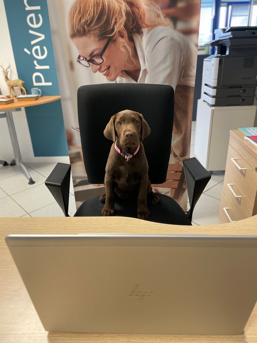 Eve vous présente sa nouvelle recrue. Du haut de ses 2 mois et demi, Uguette est arrivée dans l'équipe. Une seule mission : devenir la mascotte de l'agence.
L'occasion pour l'équipe de la sortir et donc de faire de l'exercice.
#AXAPREVENTION #mangerbouger