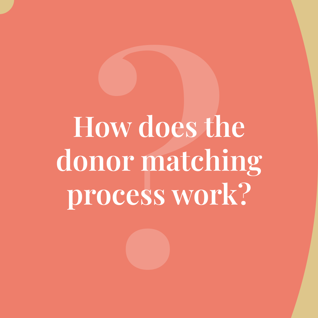 Our egg donor database is full of rigorously screened, racially and ethnically diverse egg donors. Once you create an account with us, you’ll get full access to search that database. Learn more: bit.ly/3PzmjdR

#eggdonation #donoreggs #myeggbank #infertility #TTC