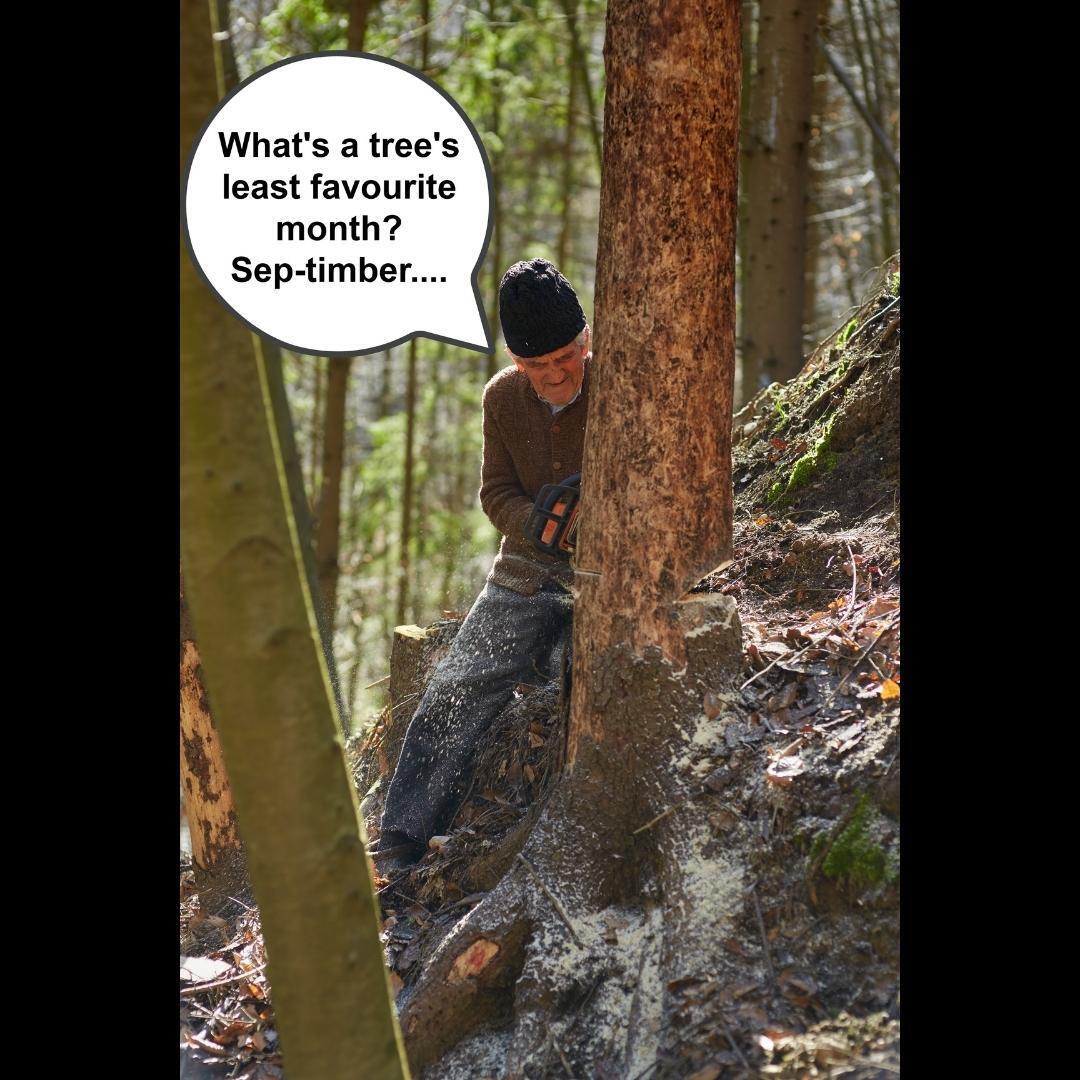 DownsizingDiva's tweet image. Chop down your to-do list by spinning the Diva wheel here. downsizingdiva.com/pages/diva-dow… #downsizing #downsizingmanager #downsizingservices #NASMM #downsizingforseniors  #downsizingexperts #declutter #organizing #seniormovemanagement  #Toronto #EastYork #NorthYork #downsizinginToronto