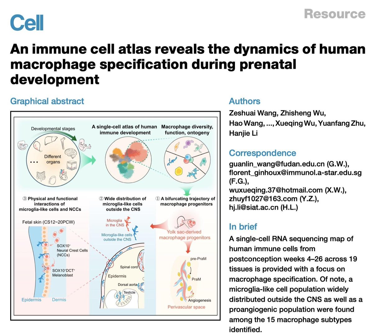 Macrophage states: there's a method in the madness: Trends in Immunology