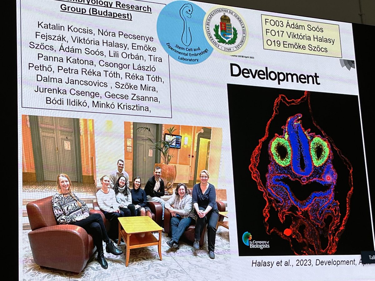 acestreit's tweet photo. Great talk from Nandor Nagy on the enteric nervous system in chick at #avianModel11 meeting https://t.co/hMhQzyov4E