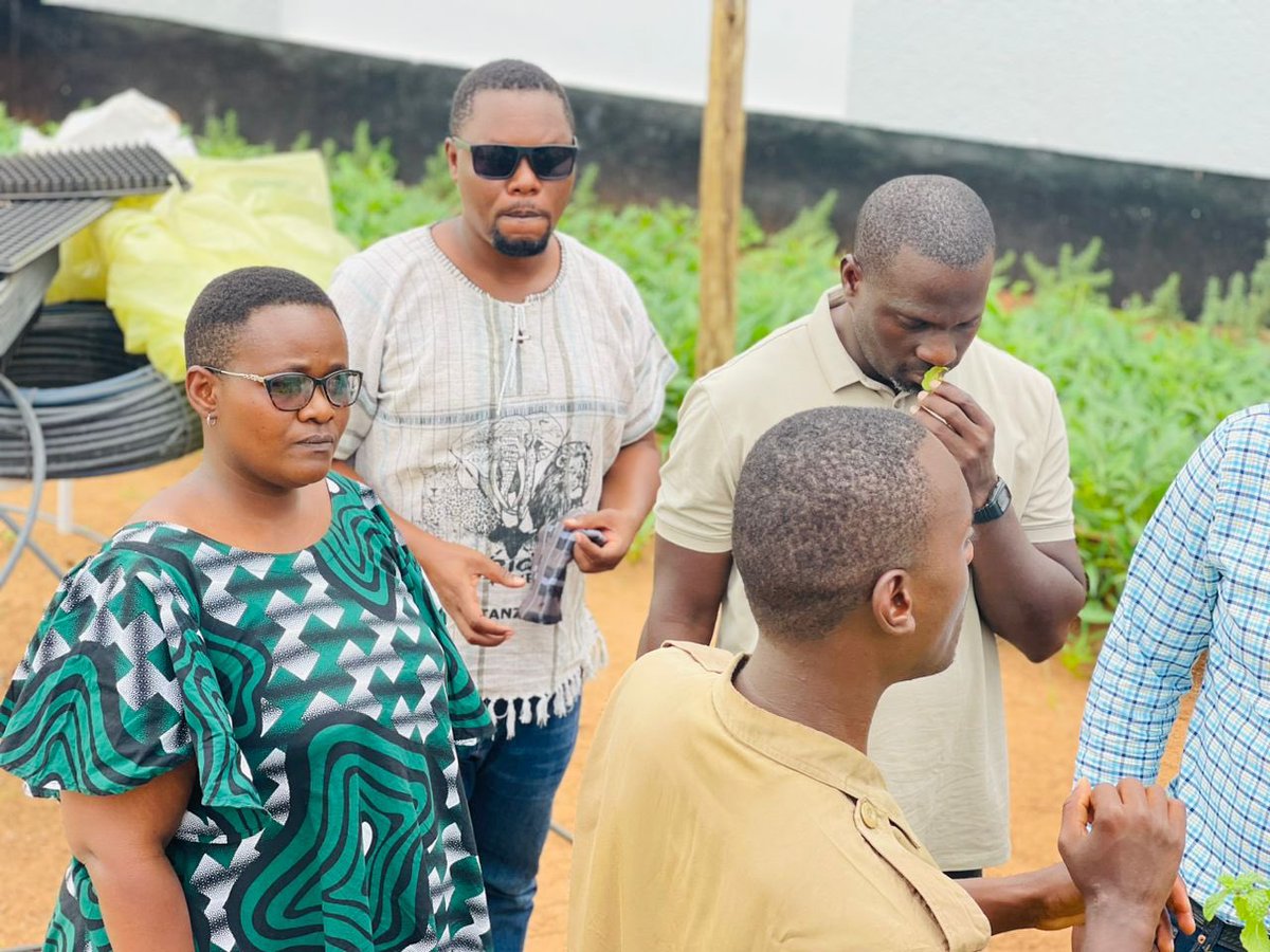 NemenceS's tweet photo. From virtual connections to real-world meetings @JoatTz , Twitter(X) has been our bridge. ๐ The #JoatAnnualMeeting is where we transform ideas into action. Let's sow the seeds of progress! ๐ฑ๐ก #JOAT #FarmersConnect" @CarolNdosi @Nuru_G @MalemboLE @JoatTz @kapeto98 @mwanrique https://t.co/4IIi5JXprQ