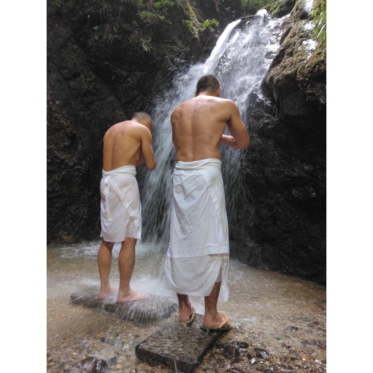 Tsuruta Architects tweet media