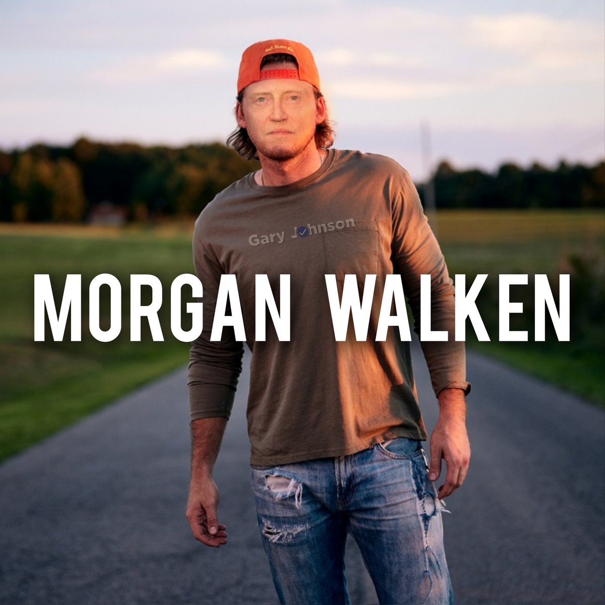 #MorganWallen #Country #Funny #ChristopherWalken #Meme