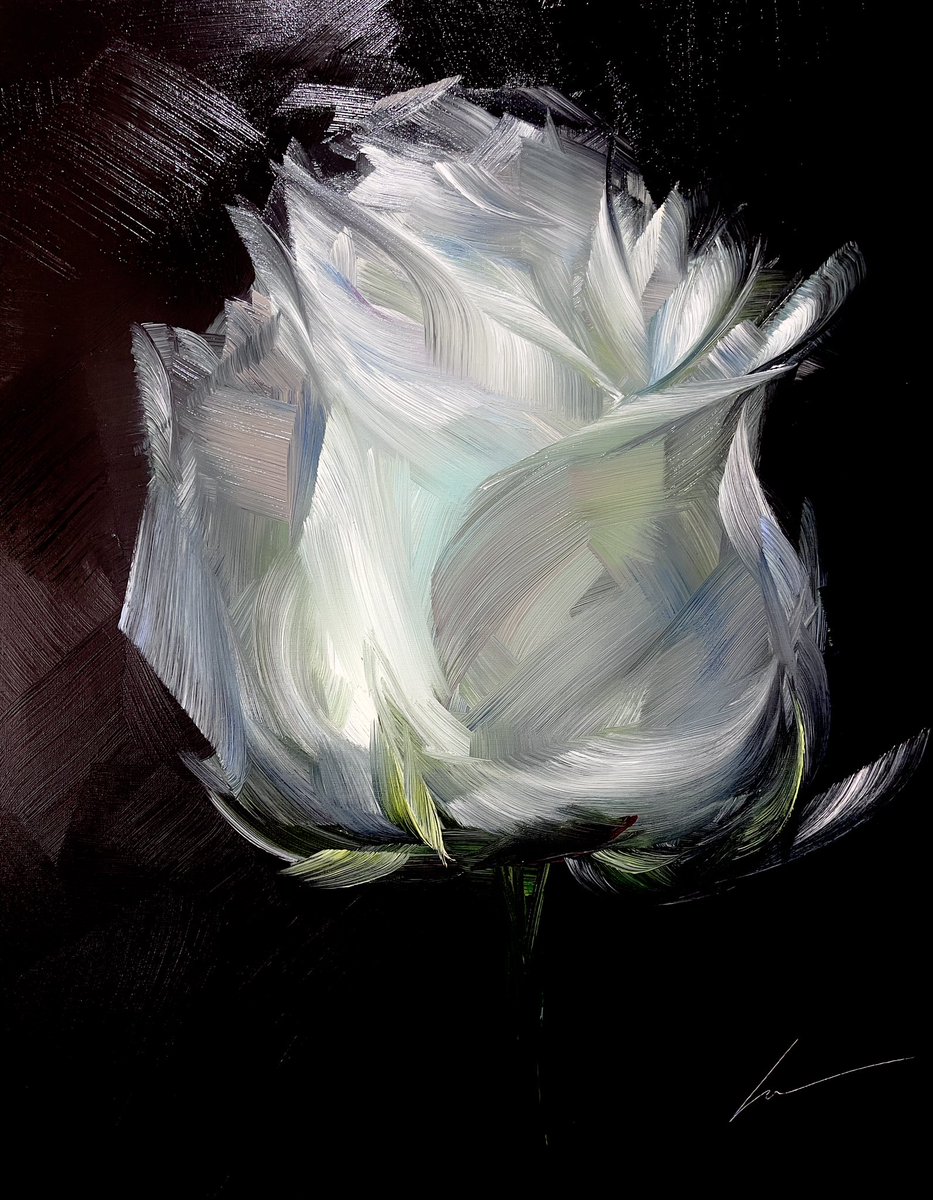 Vera Kober Art tweet media