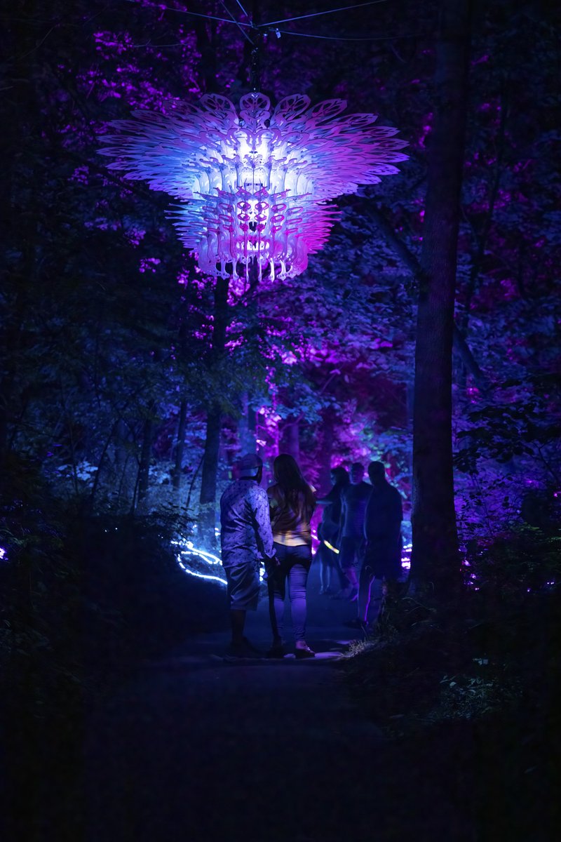 ArtsAndRec_OP's tweet photo. ✨Date night goals: Strolling hand in hand through a world of enchantment at @quixoticfusion 's TERRA LUNA. Tag your date and let them know it's time to plan the most magical night ever at the Overland Park Arboretum &amp; Botanical Gardens!

🌙Tickets: https://t.co/iktTk16yAz https://t.co/Cbdgg2VAU7