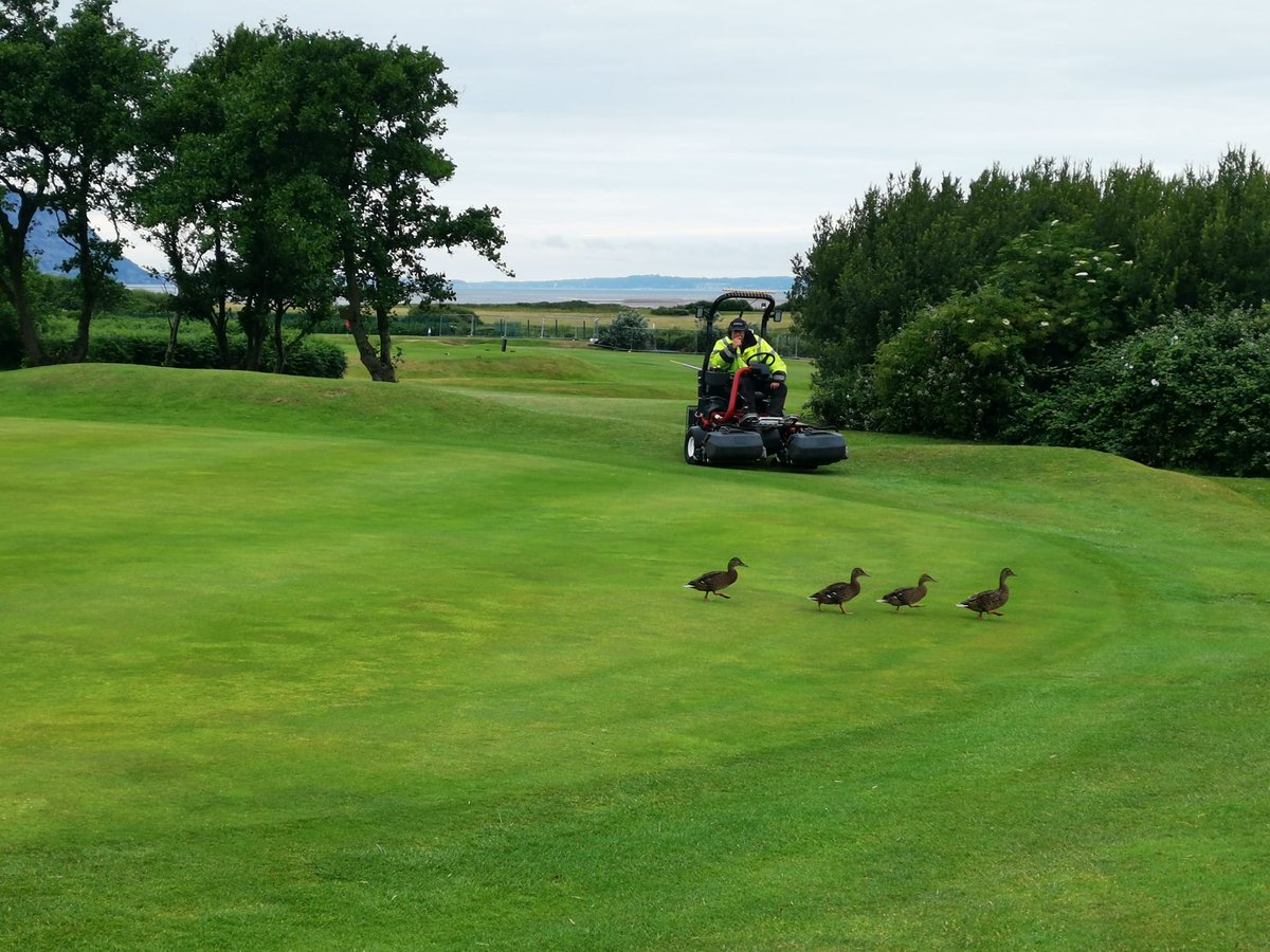 On today, of all days we'd like to say a huge great big thank you to all of our green staff here at Maesdu. Dan, Steve, Seb, Lewis, Alex &amp; Lewis 2 do a fantastic job of not only maintaining, but also improving Maesdu. #ThankAGreenkeeper