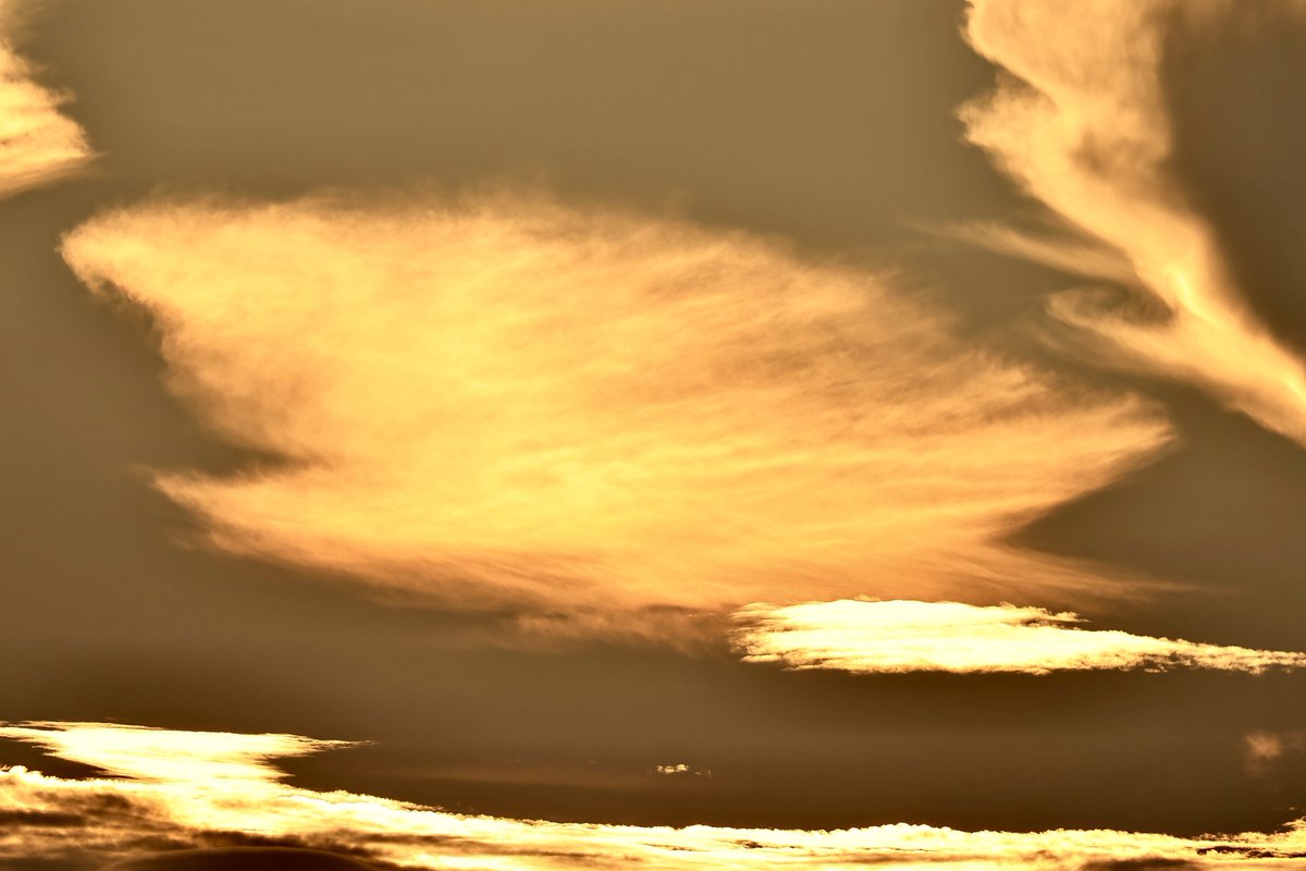 黄金色の雲✨✨

#東村山市
#黄金色の雲
#黄金色
#夕焼け
#夕景
#雲
#golden
#sunsetclouds
#sunset
#twilight
#clouds
#cloud
#ファインダー越しの私の世界
#写真好きと繋がりたい
#東京カメラ部
#tokyocameraclub
#snapshooter
#snapshot
#art_of_japan
#phos_japan
#photo_jpn
#team_jp
#photolife