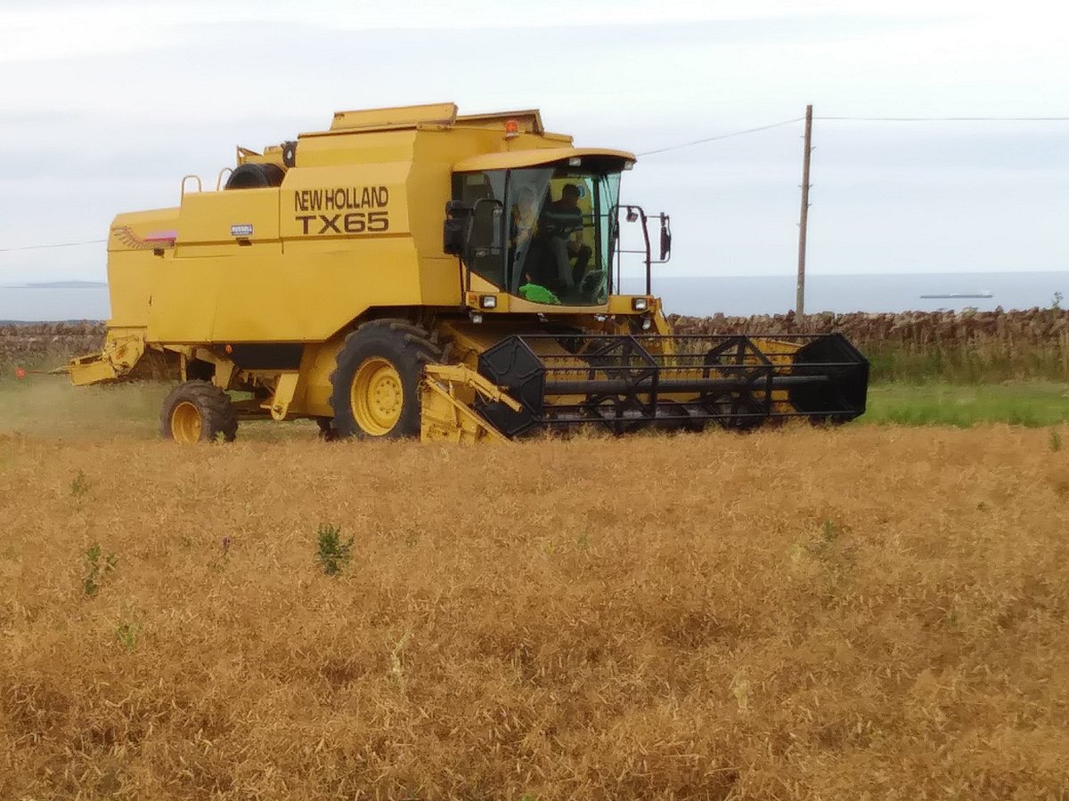 Members of our Food and Farming group have set out in a briefing for MSPs what <a href="/scotgov/">Scottish Government</a>'s #AgricultureBill, expected this autumn, must contain in order to help make farming work for nature, climate and people:
farmforscotlandsfuture.scot/2023/09/12/how…

#FarmForScotlandsFuture
📷Elizabeth Massie