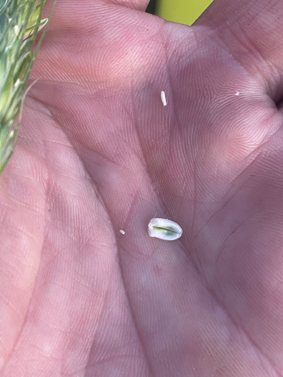 Alex Gill tweet media