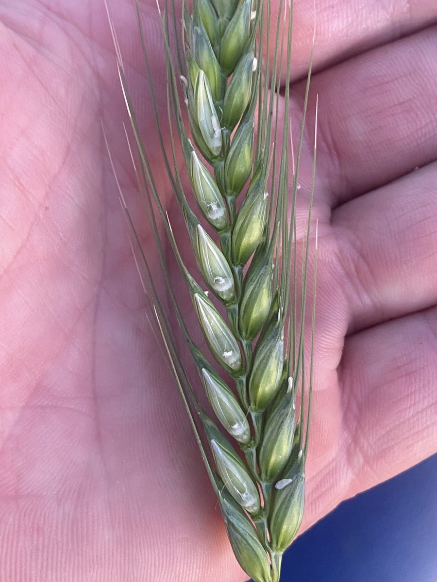 Alex Gill tweet media