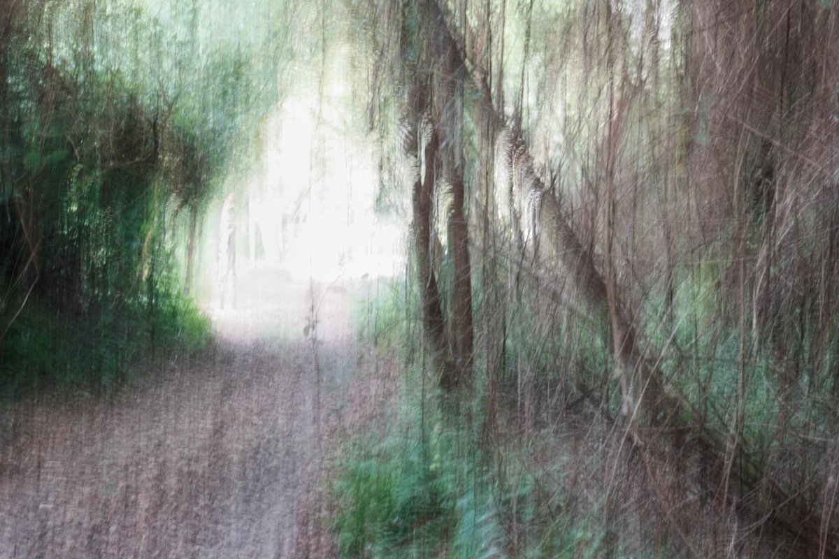 Copelius666's tweet photo. Sem
#photography #ordinarymind #copelius https://t.co/z1uTvDwHe3