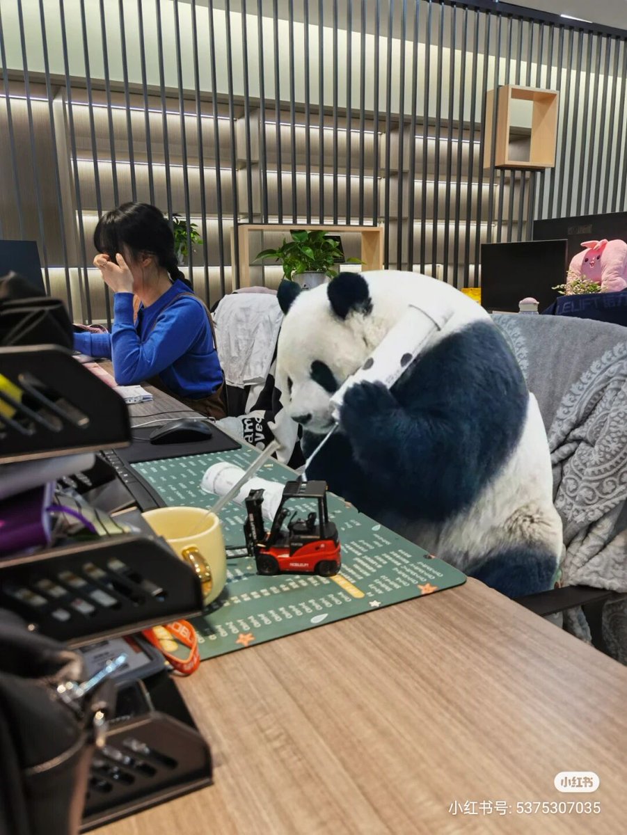 うちの新入社員。＃萌蘭