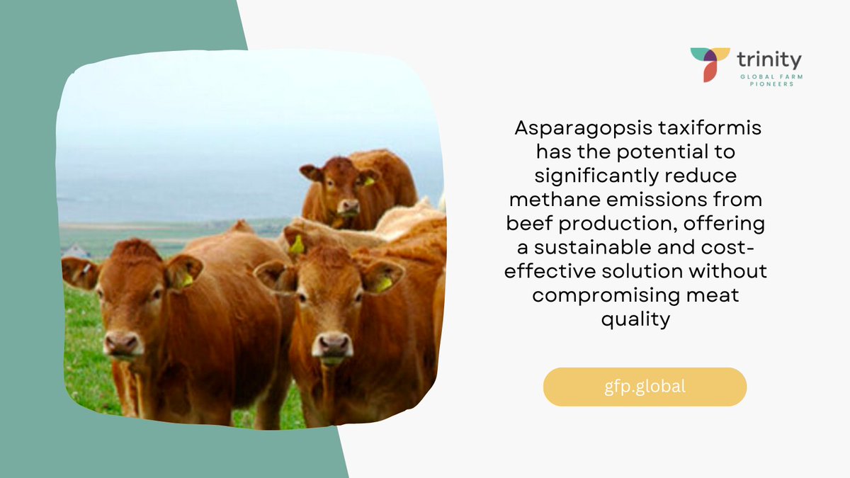 Trinity Global Farm Pioneers tweet media