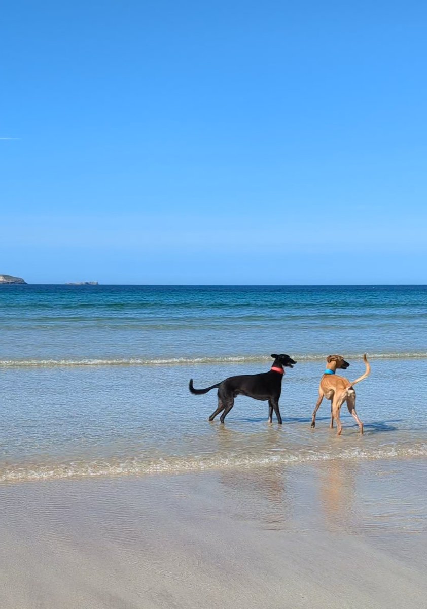 FrelliottScott's tweet photo. Scorchio day last week on Balnakeil beach in Durness https://t.co/HFPdsky9tX