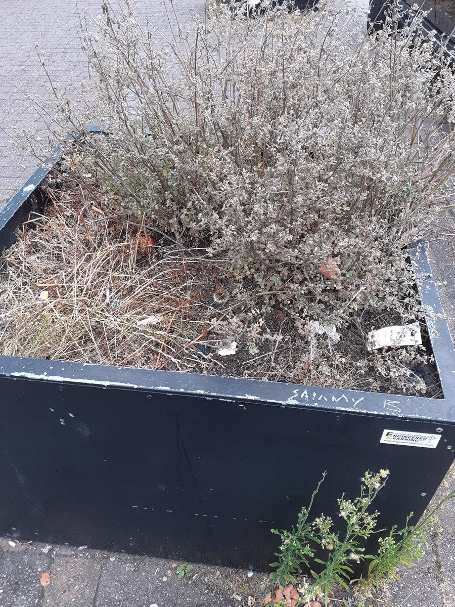 Plantzzman's tweet image. Now I thought as part of Normanton Neighbourhood Board we gave a local community group funding to maintain planters in the Cavendish in #Normanton #Derby